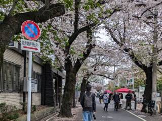 ���邳����Ղ�@2026