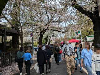 ���邳����Ղ�@2026