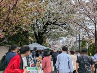 ���邳����Ղ�@2026