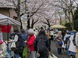 ���邳����Ղ�@2026