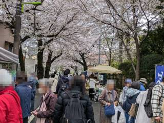 ���邳����Ղ�@2026