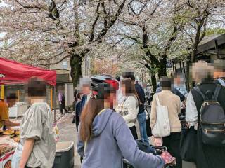 ���邳����Ղ�@2026
