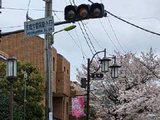 ���邳����Ղ�@2026