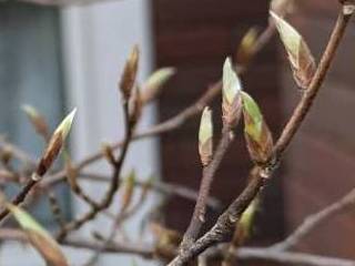 �q���V�����J�� 