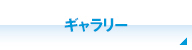 ギャラリー ギャラリー